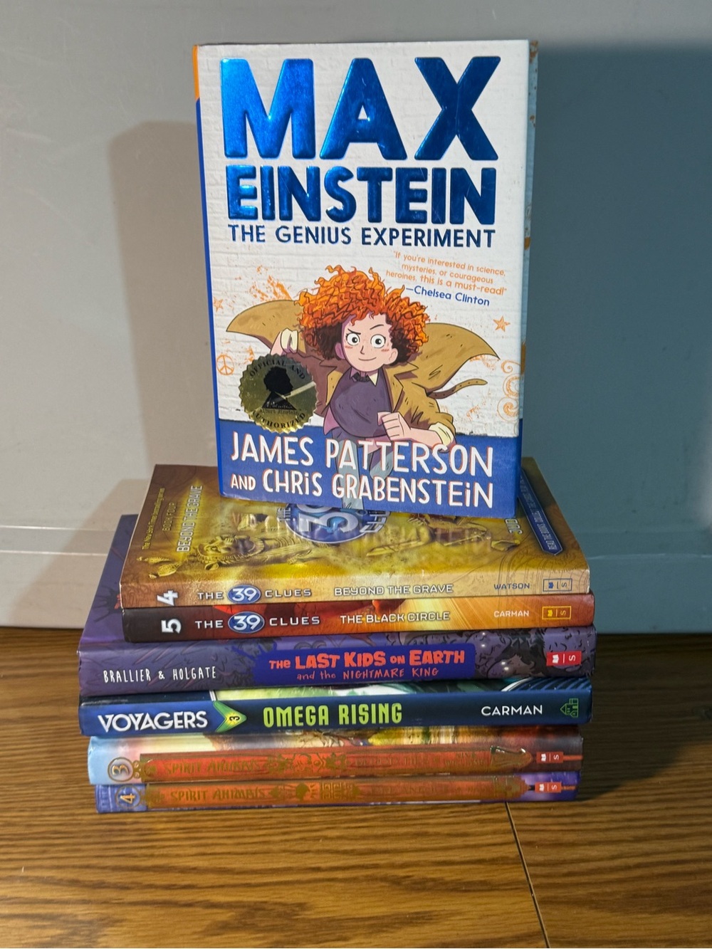 Book lot 6th grade chapter books
